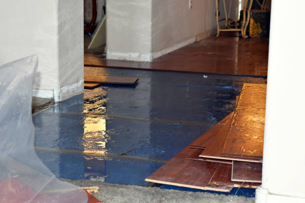 Professional Basement Flood Cleanup technician working in Voorhees, NJ